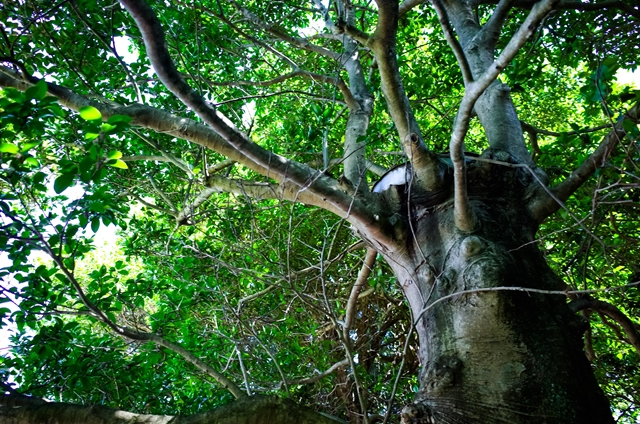 f:id:zoo_1112:20170604223631j:plain f:id:zoo_1112:20170604223631j:plain