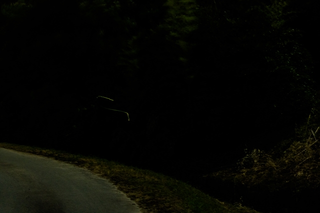 f:id:zoo_1112:20170604223820j:plain f:id:zoo_1112:20170604223820j:plain