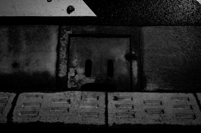 f:id:zoo_1112:20170615194140j:plain