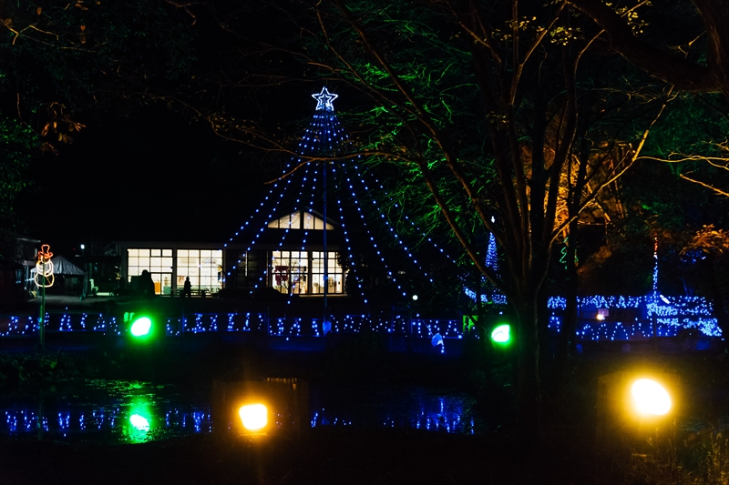 f:id:zoo_1112:20171217191024j:plain f:id:zoo_1112:20171217191024j:plain