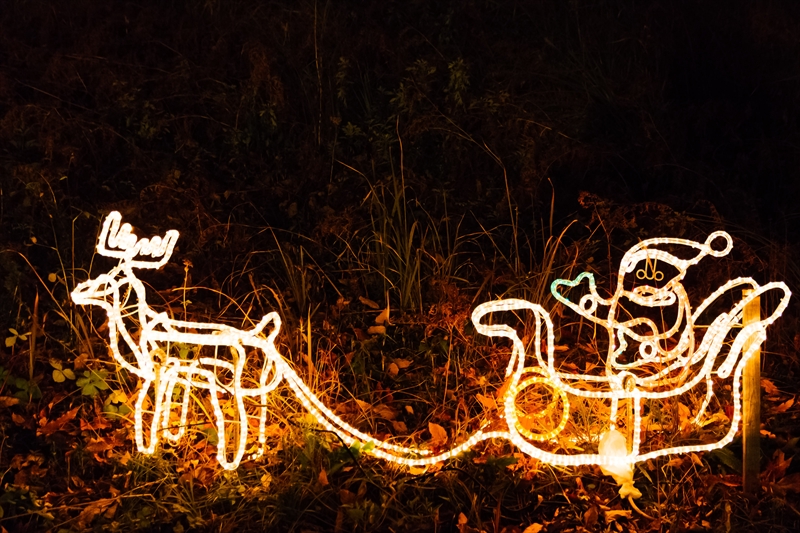 f:id:zoo_1112:20171217191028j:plain f:id:zoo_1112:20171217191028j:plain