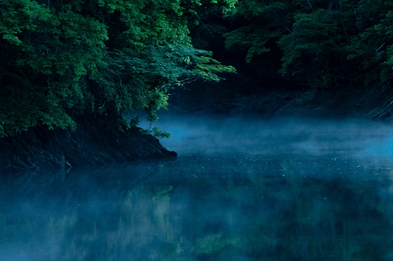 f:id:zoo_1112:20171229081952j:plain f:id:zoo_1112:20171229081952j:plain