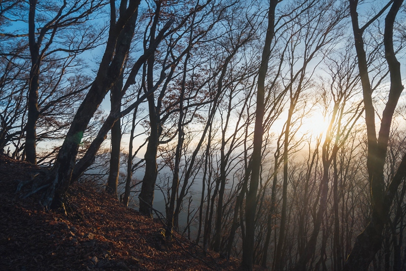 f:id:zoo_1112:20171229081953j:plain f:id:zoo_1112:20171229081953j:plain