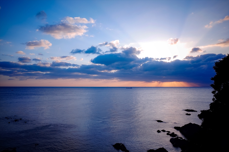 f:id:zoo_1112:20171230181000j:plain f:id:zoo_1112:20171230181000j:plain