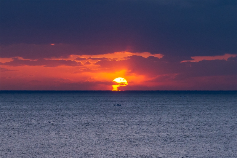 f:id:zoo_1112:20171230181010j:plain f:id:zoo_1112:20171230181010j:plain