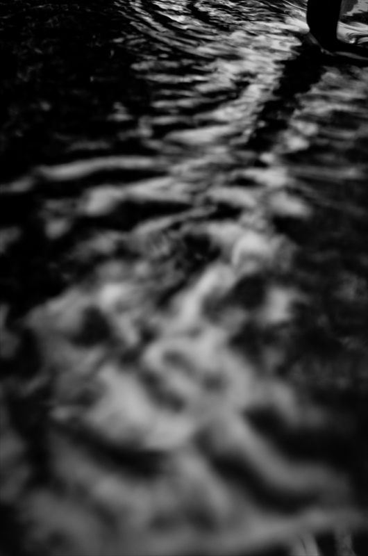 f:id:zoo_1112:20180108182841j:plain f:id:zoo_1112:20180108182841j:plain