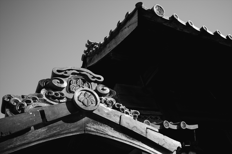 f:id:zoo_1112:20180114174700j:plain f:id:zoo_1112:20180114174700j:plain