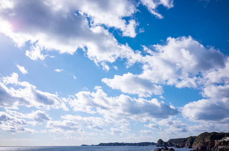 f:id:zoo_1112:20180126192017j:plain