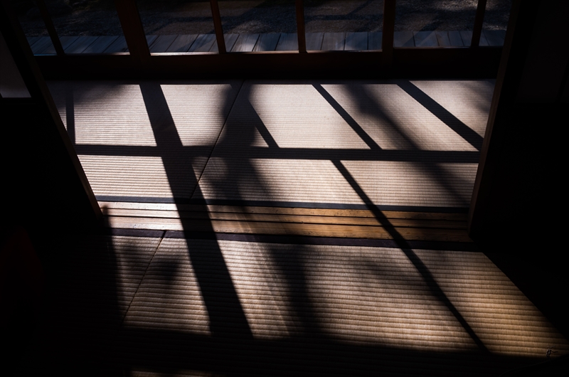 f:id:zoo_1112:20180210161811j:plain f:id:zoo_1112:20180210161811j:plain