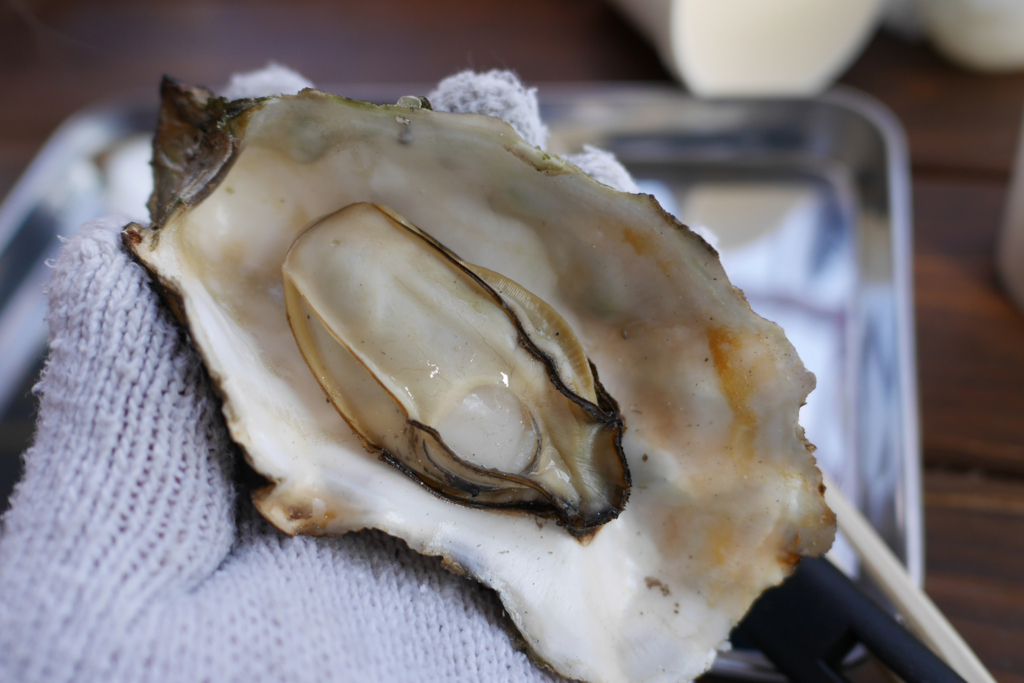 f:id:zoo_1112:20180214203341j:plain f:id:zoo_1112:20180214203341j:plain