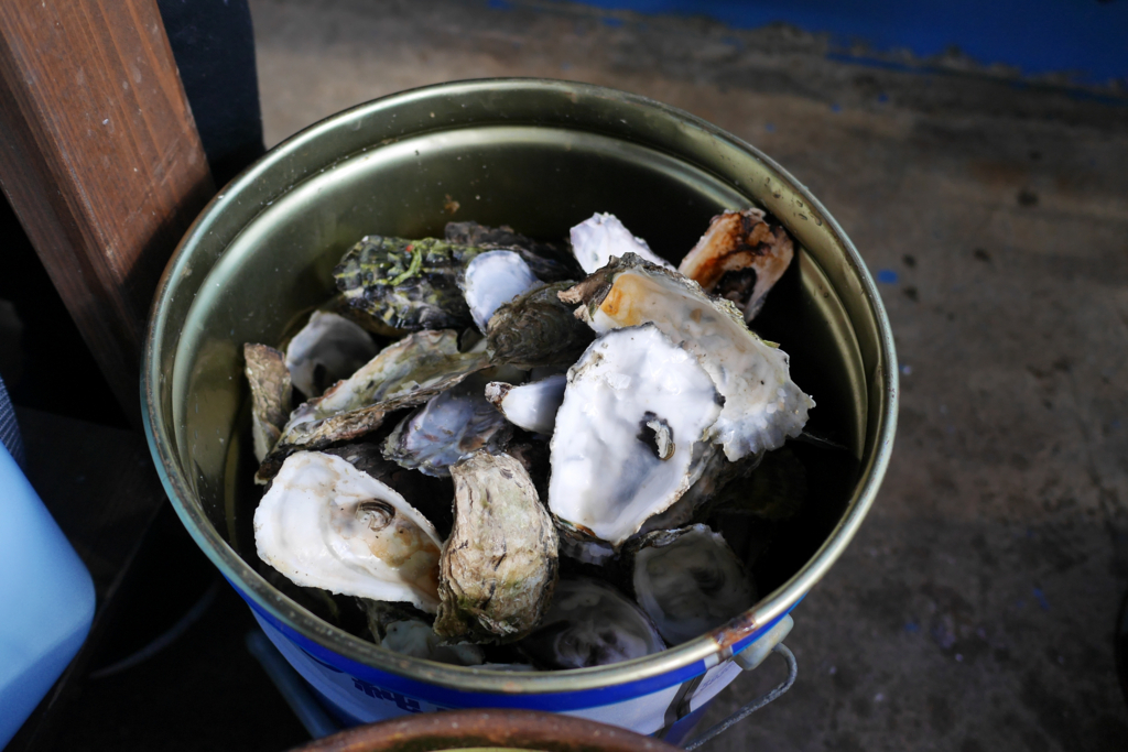 f:id:zoo_1112:20180214203726j:plain f:id:zoo_1112:20180214203726j:plain