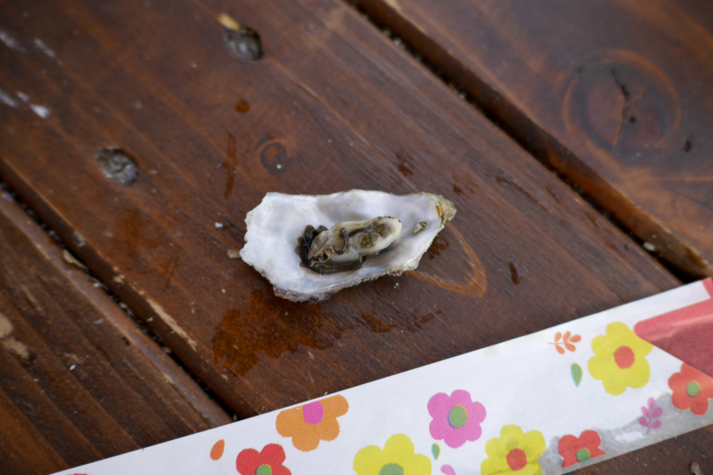 f:id:zoo_1112:20180214203835j:plain f:id:zoo_1112:20180214203835j:plain