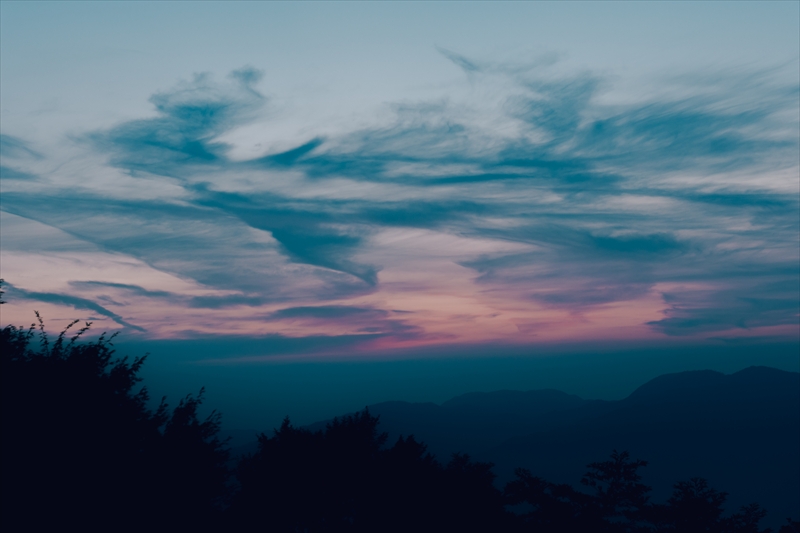 f:id:zoo_1112:20180721194805j:plain f:id:zoo_1112:20180721194805j:plain