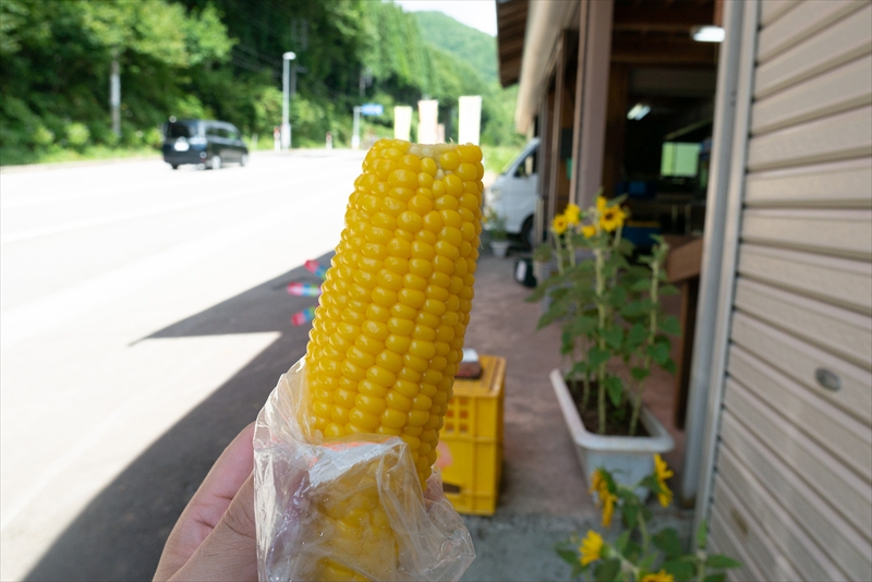 f:id:zoo_1112:20180828213220j:plain f:id:zoo_1112:20180828213220j:plain