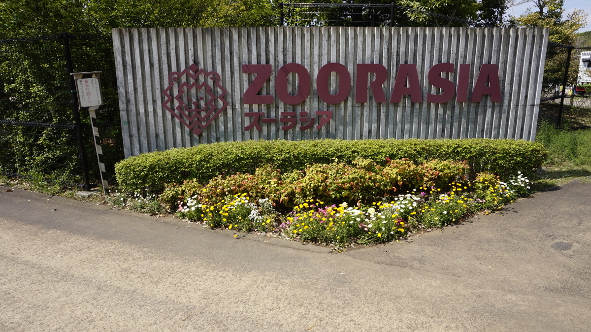 f:id:zoogo:20190504160109j:plain