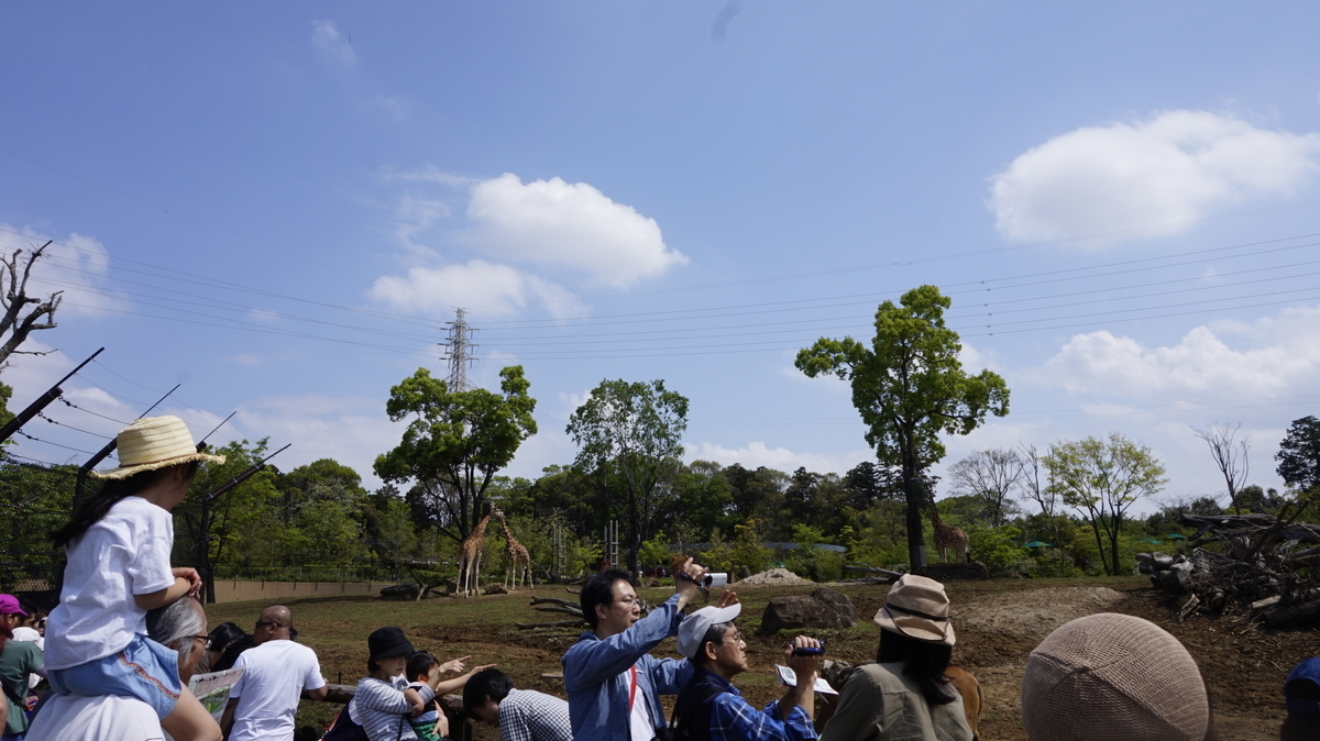 f:id:zoogo:20190504160917j:plain