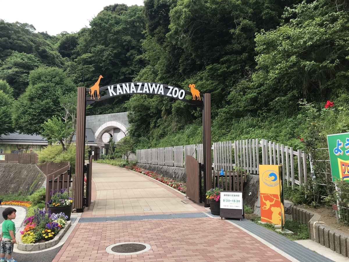 f:id:zoogo:20190602152626j:plain