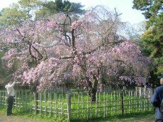 f:id:zoological:20040416174955j:image:left