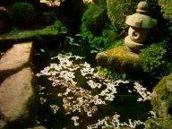 f:id:zoological:20040419204242j:image
