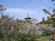 f:id:zoological:20040427165800j:image