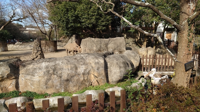 f:id:zoonimal:20210104150034j:plain