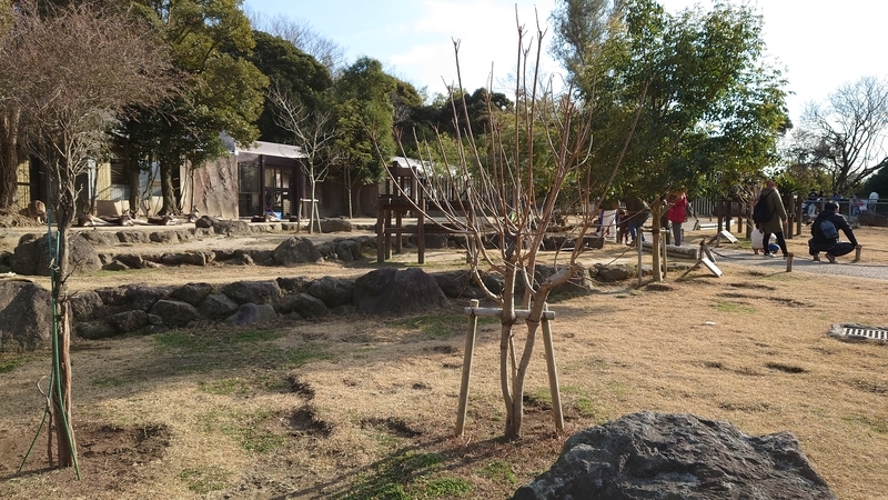 f:id:zoonimal:20210104150202j:plain