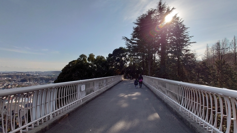 f:id:zoonimal:20210104150216j:plain