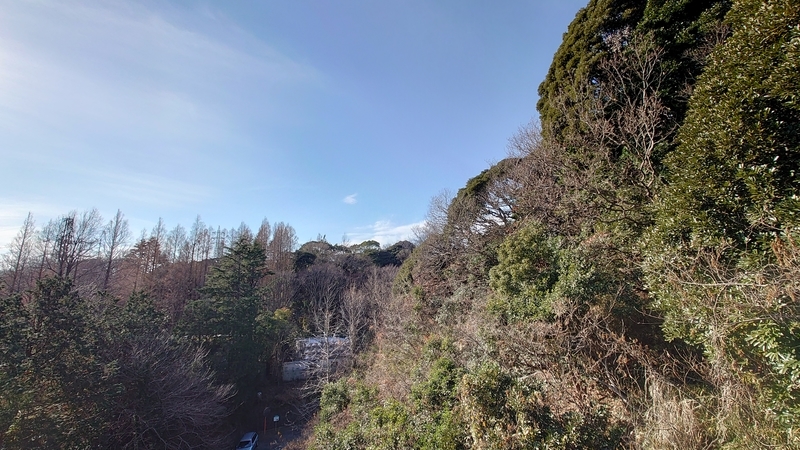 f:id:zoonimal:20210104150231j:plain