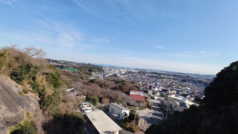 f:id:zoonimal:20210104150243j:plain