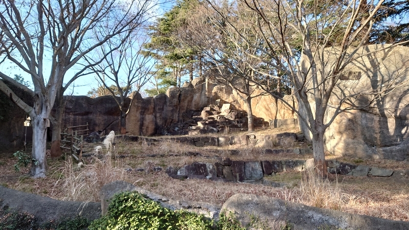 f:id:zoonimal:20210104150613j:plain