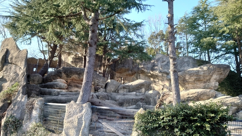 f:id:zoonimal:20210104150629j:plain