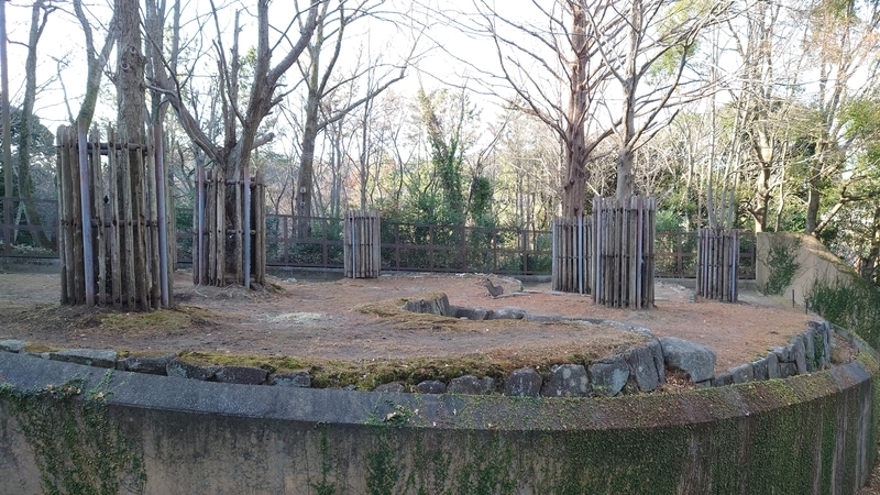 f:id:zoonimal:20210104150645j:plain