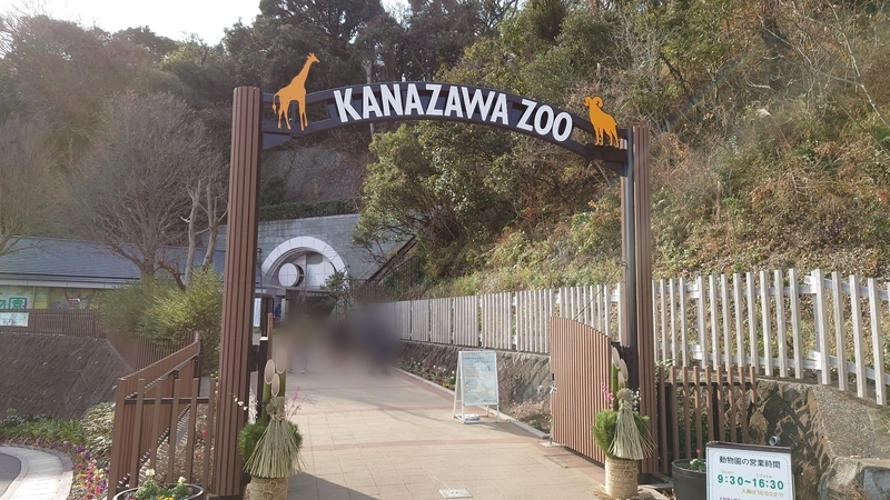 f:id:zoonimal:20210104150803j:plain