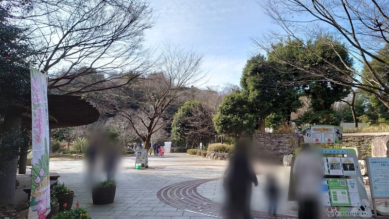 f:id:zoonimal:20210104150817j:plain