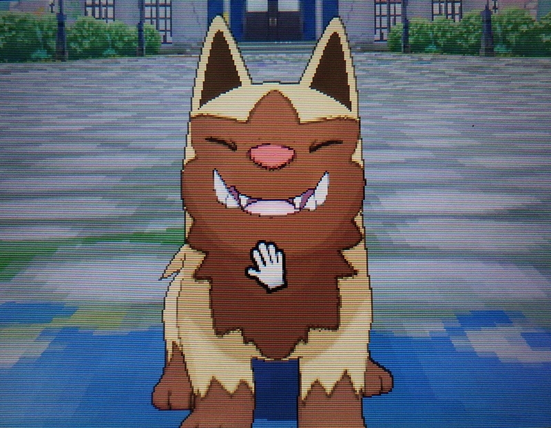 色違い 国際孵化 ポチエナ Usum キロの色違いポケモン図鑑ブログ