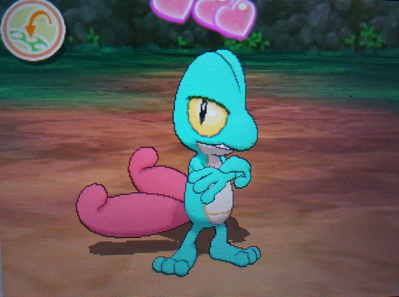 色違い 国際孵化 キモリ Usum キロの色違いポケモン図鑑ブログ 色違い 国際孵化 キモリ Usum キロの色違いポケモン図鑑ブログ