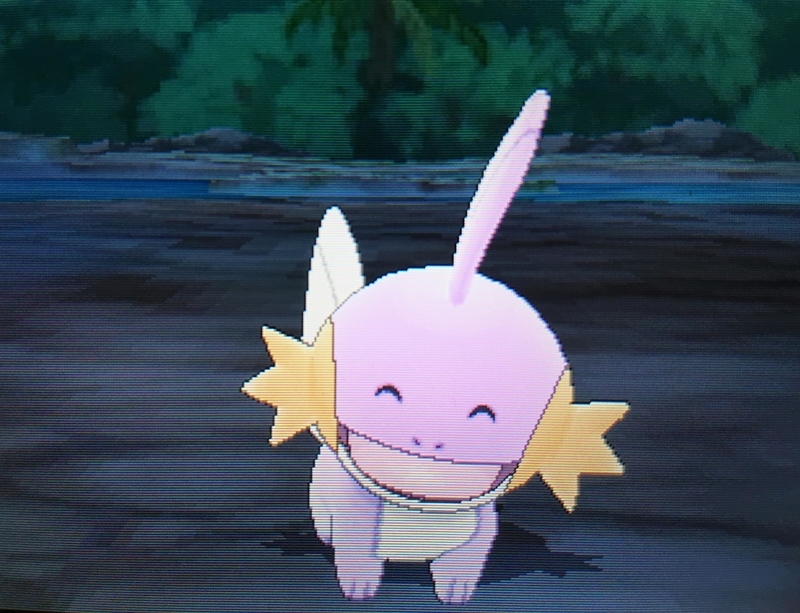色違い 国際孵化 ミズゴロウ Usum キロの色違いポケモン図鑑ブログ