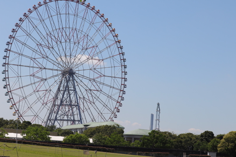 f:id:zoonimal:20210725131618j:plain