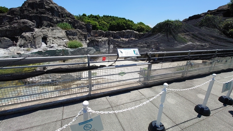 f:id:zoonimal:20210725132242j:plain