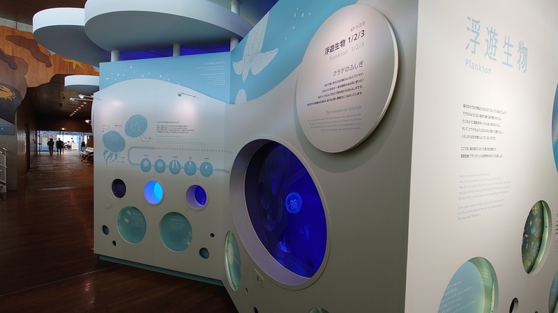 f:id:zoonimal:20210725132448j:plain