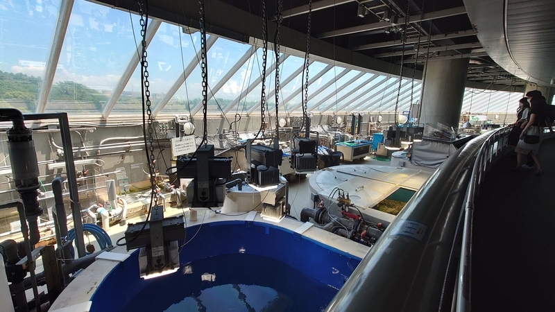 f:id:zoonimal:20210725132502j:plain