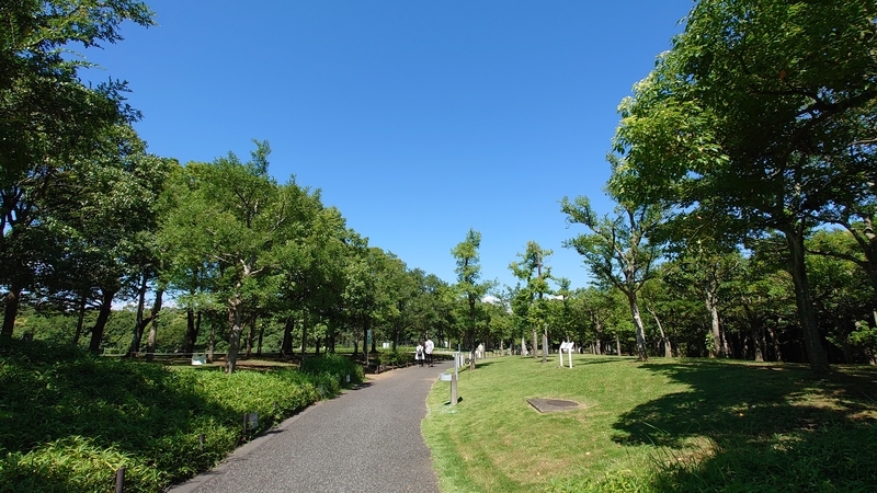 f:id:zoonimal:20210725132737j:plain