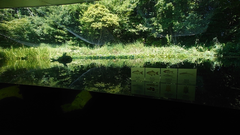 f:id:zoonimal:20210725132802j:plain