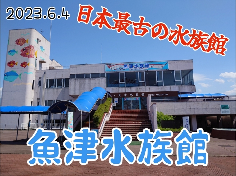 魚津水族館】日本一古い水族館は本当にしょぼいのか（2023/6/4）【レポ