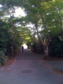 20090514173833