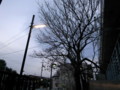 20130113165238