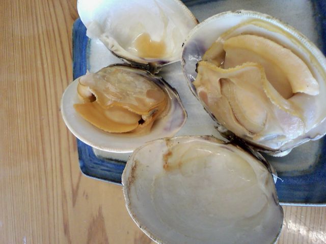 f:id:zootro:20110306224240j:image f:id:zootro:20110306224240j:image
