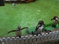 動物園