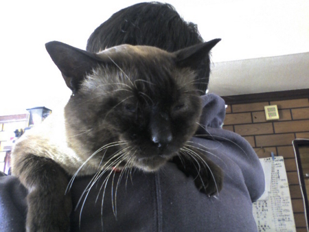 f:id:zorki-0721:20090331204655j:image f:id:zorki-0721:20090331204655j:image