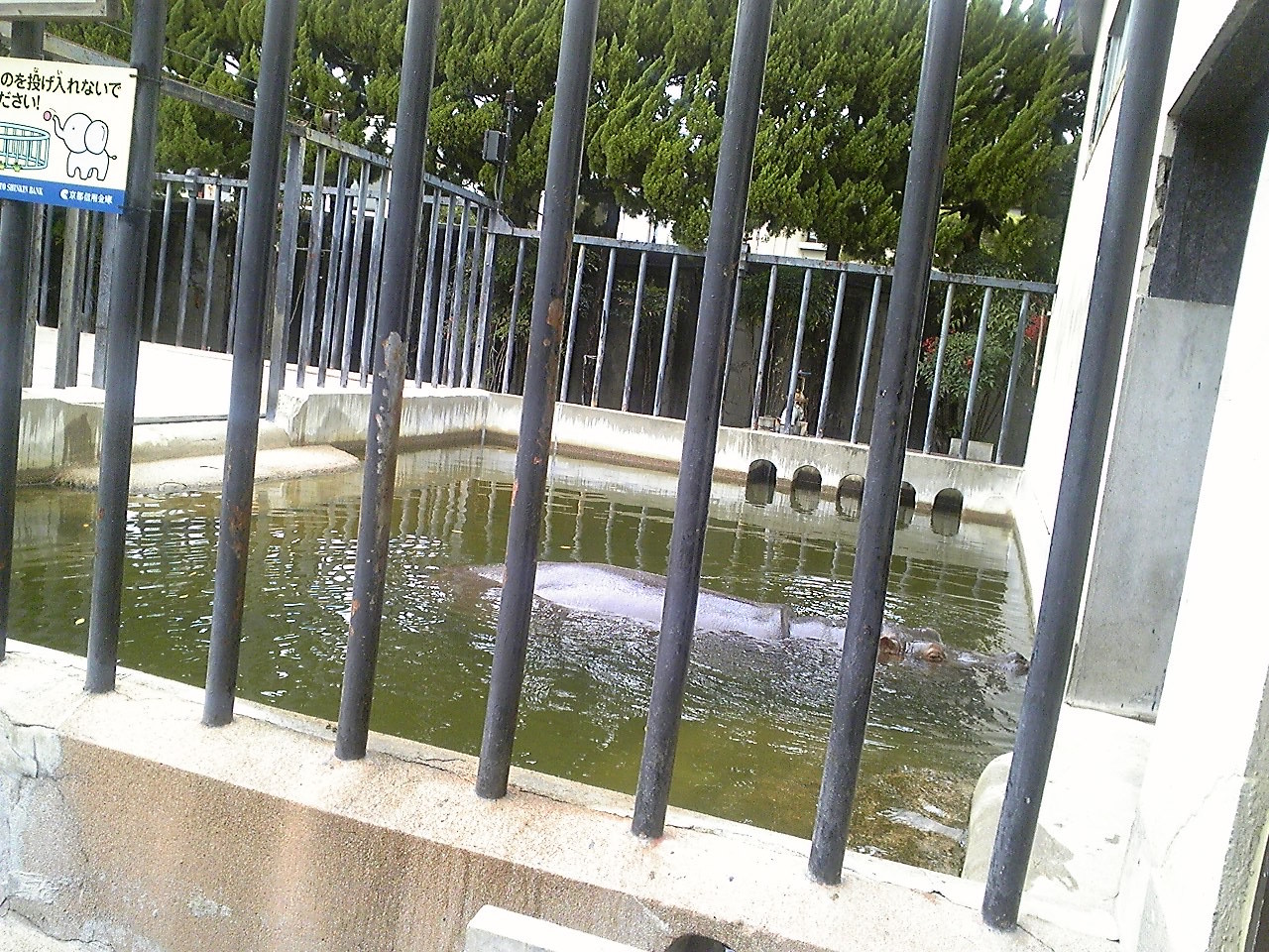 f:id:zoroinu:20101128140704j:image:w400 f:id:zoroinu:20101128140704j:image:w400